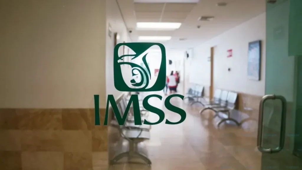 Trabajadores independientes: ¿Cómo inscribirse al nuevo programa del IMSS?