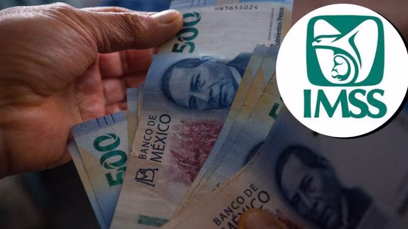 ¿Tienes una cuenta afore sin usar? El IMSS podría quedarse con ella