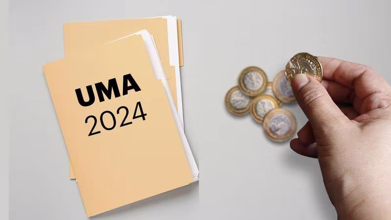 UMA 2024: ¿Cuánto subió la unidad que sirve para calcular multas de tránsito?